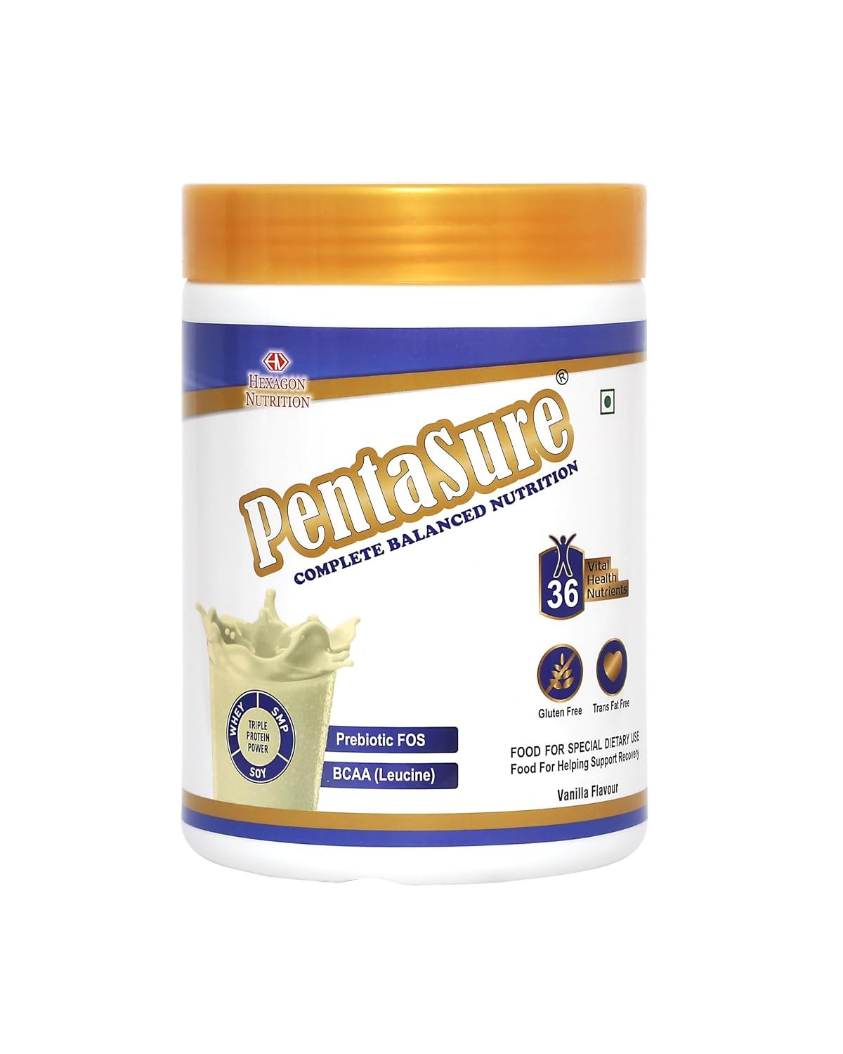 Pentasure Vanilla 1KG Powder